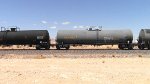 WB Manifest Frt at Erie NV W-MdTrnSlv-Pshr -102